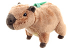 280777.jpg